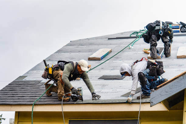 Professional Gutter Installation technician working in Porter, TX